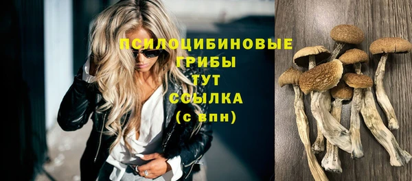 круглые Арсеньев