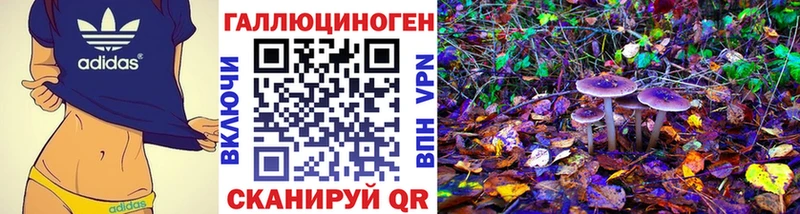 Псилоцибиновые грибы GOLDEN TEACHER  где найти   Чадан 